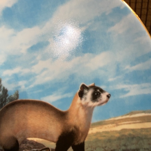 The Black Footed Ferret Will Nelson Vintage Last of Their Kind Endangered Plate - Picture 11 of 15